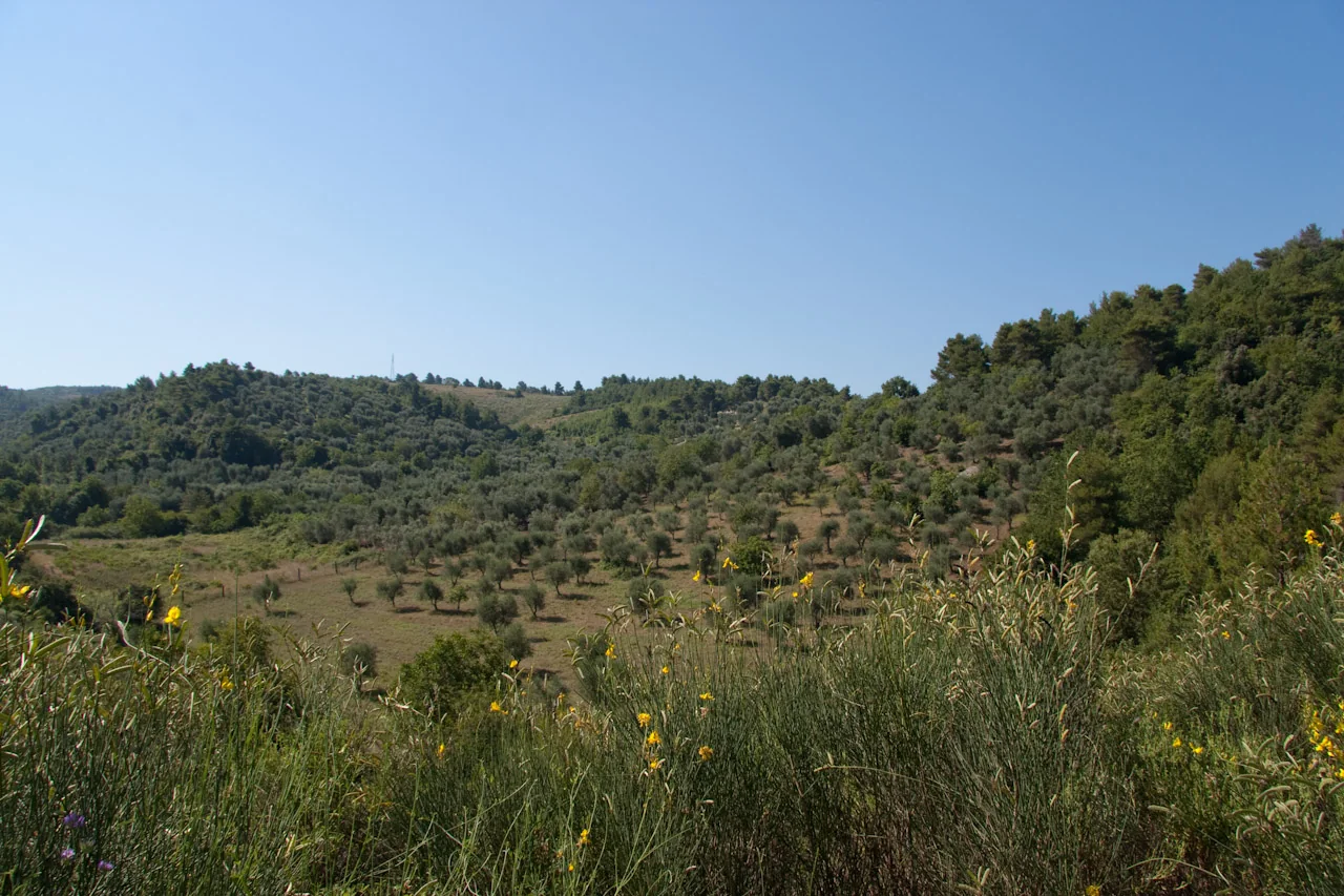Paesaggio rurale del Gargano nell'area di Carpino